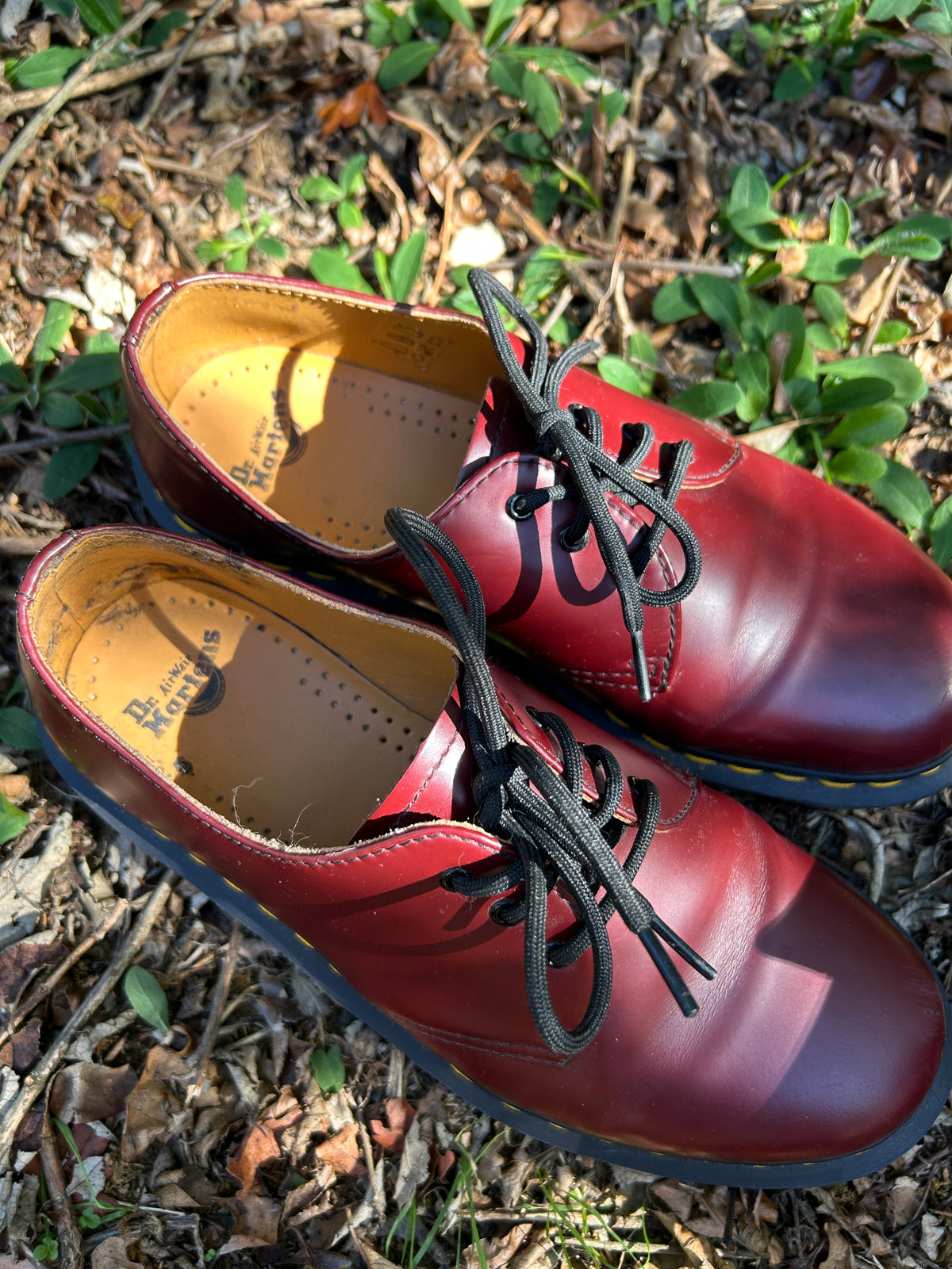 Dr. Martens 1461 rouge bordeaux t39